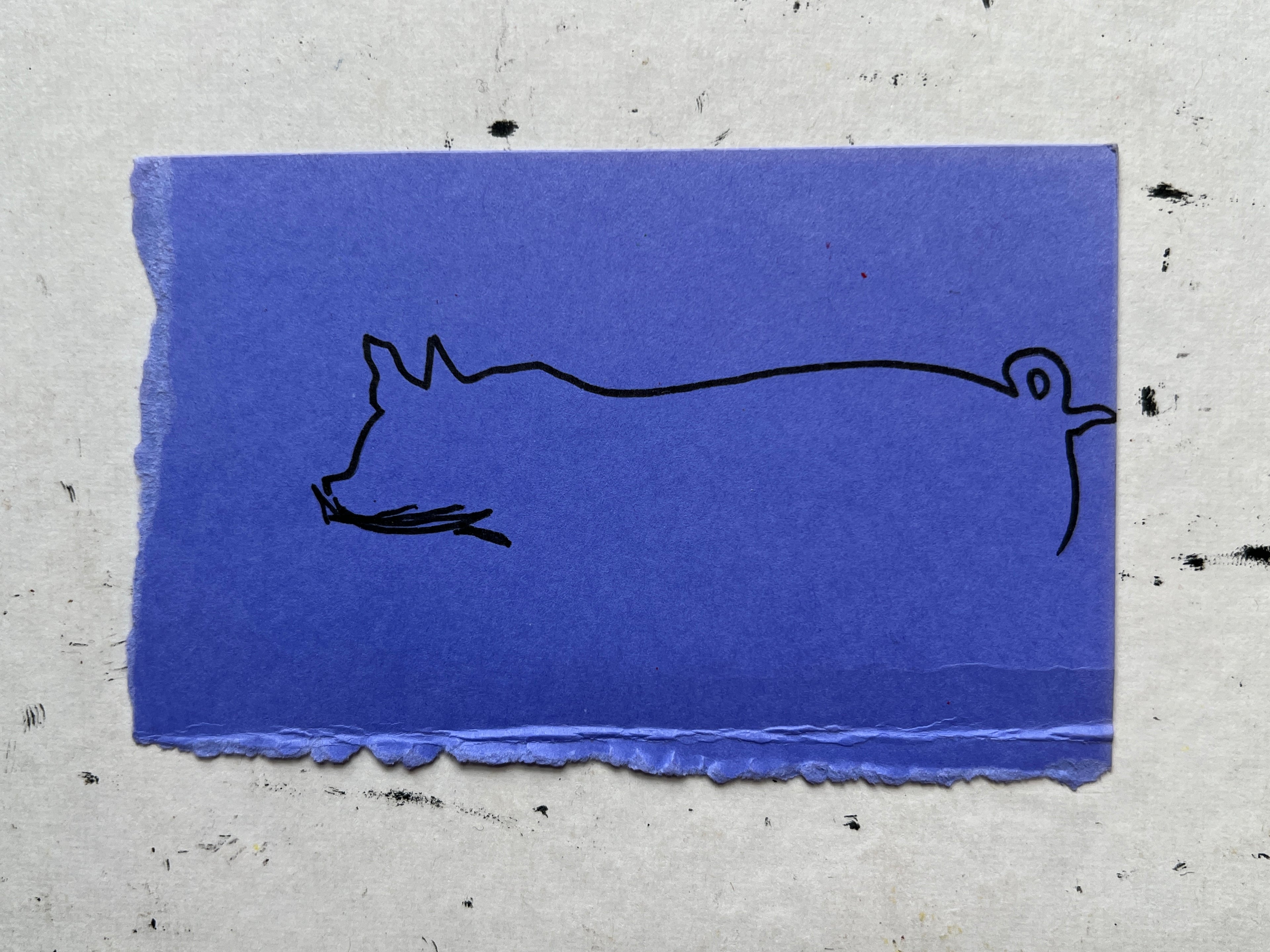 Pig Study no. 9