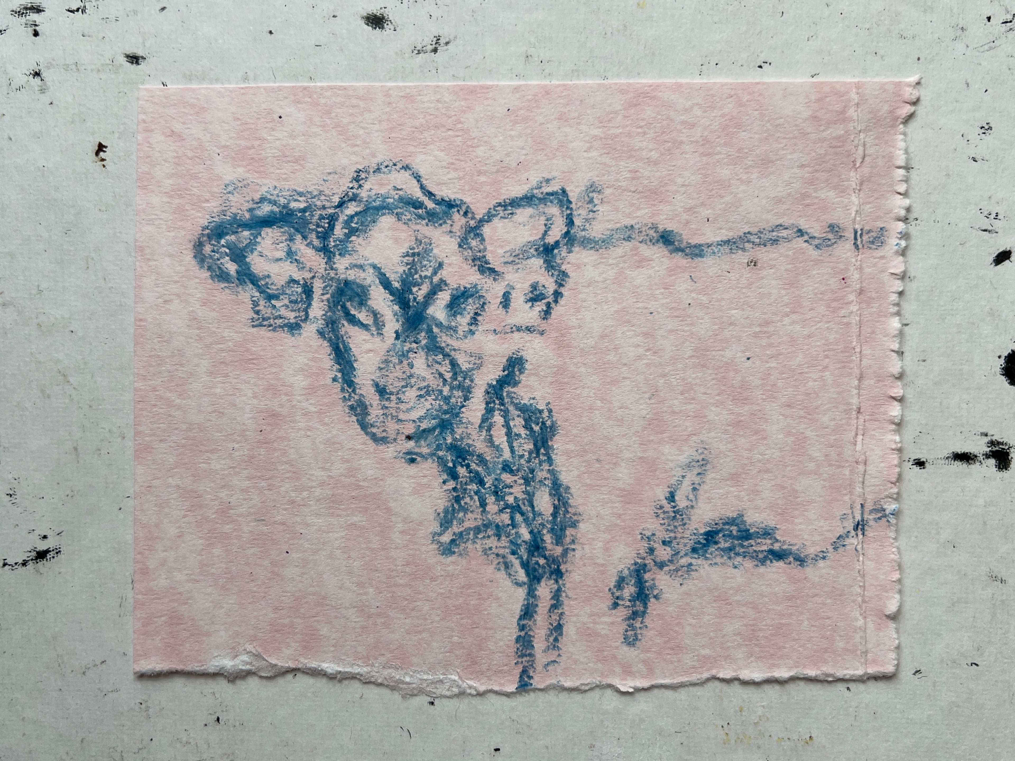Cow Study no. 58