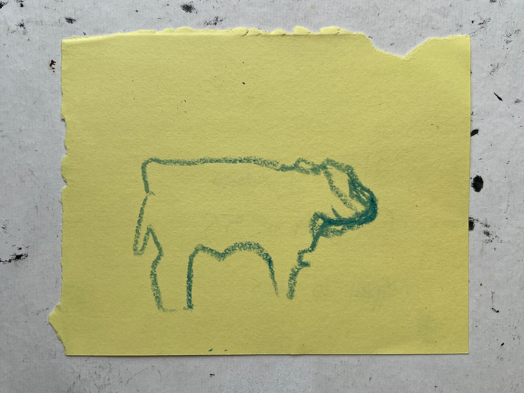 Cow Study no. 55
