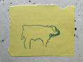 Cow Study no. 55