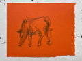 Cow Study no. 49
