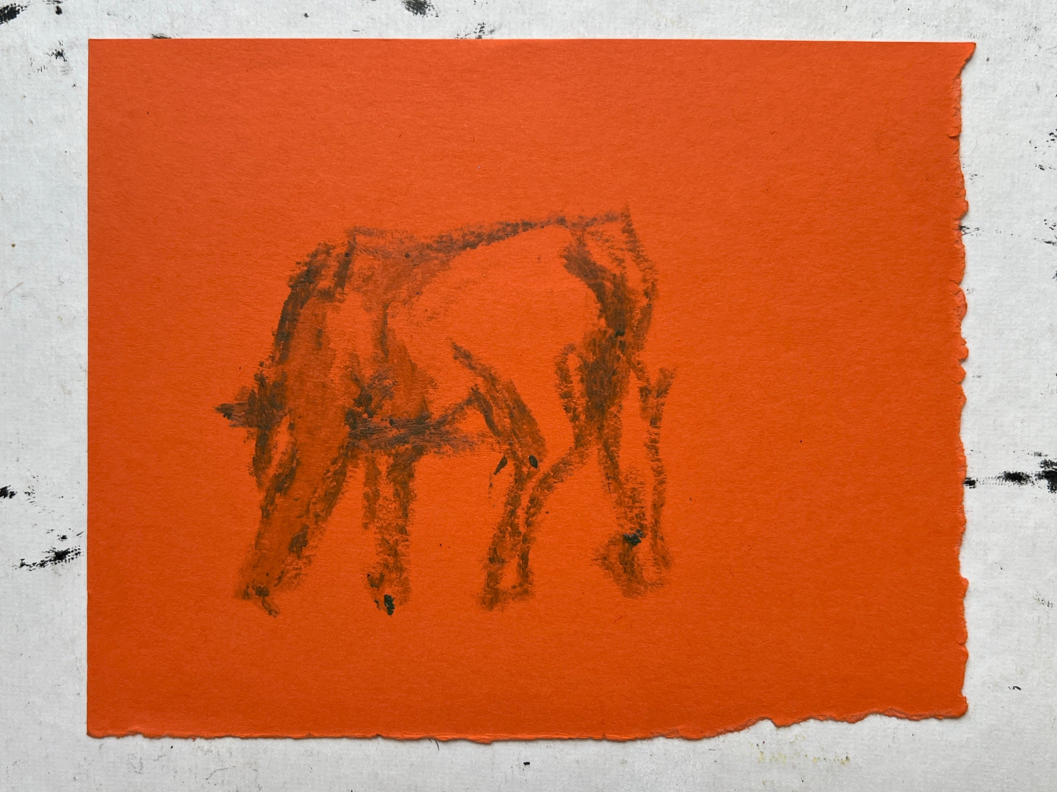 Cow Study no. 49