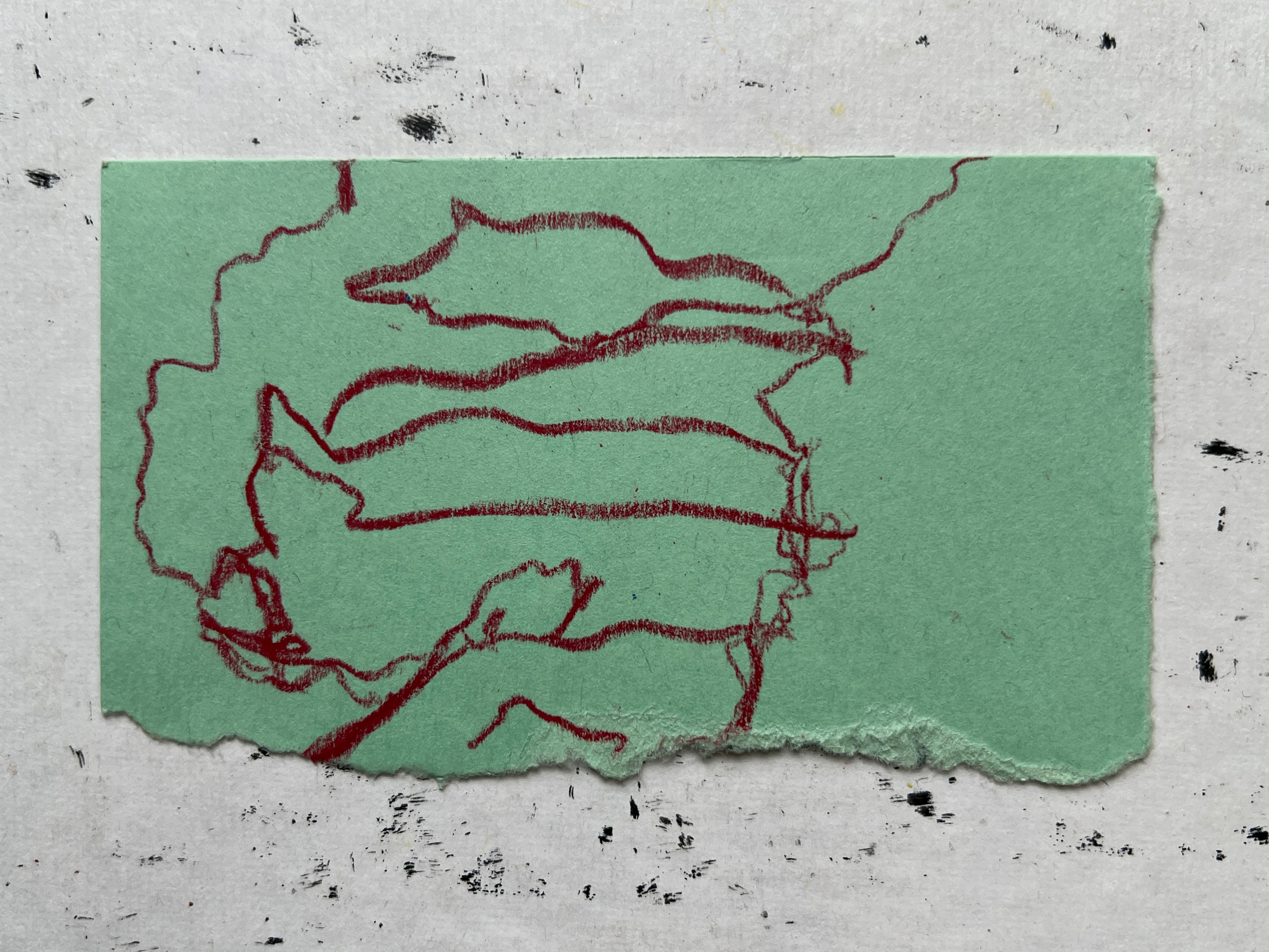 Pig Study no. 6