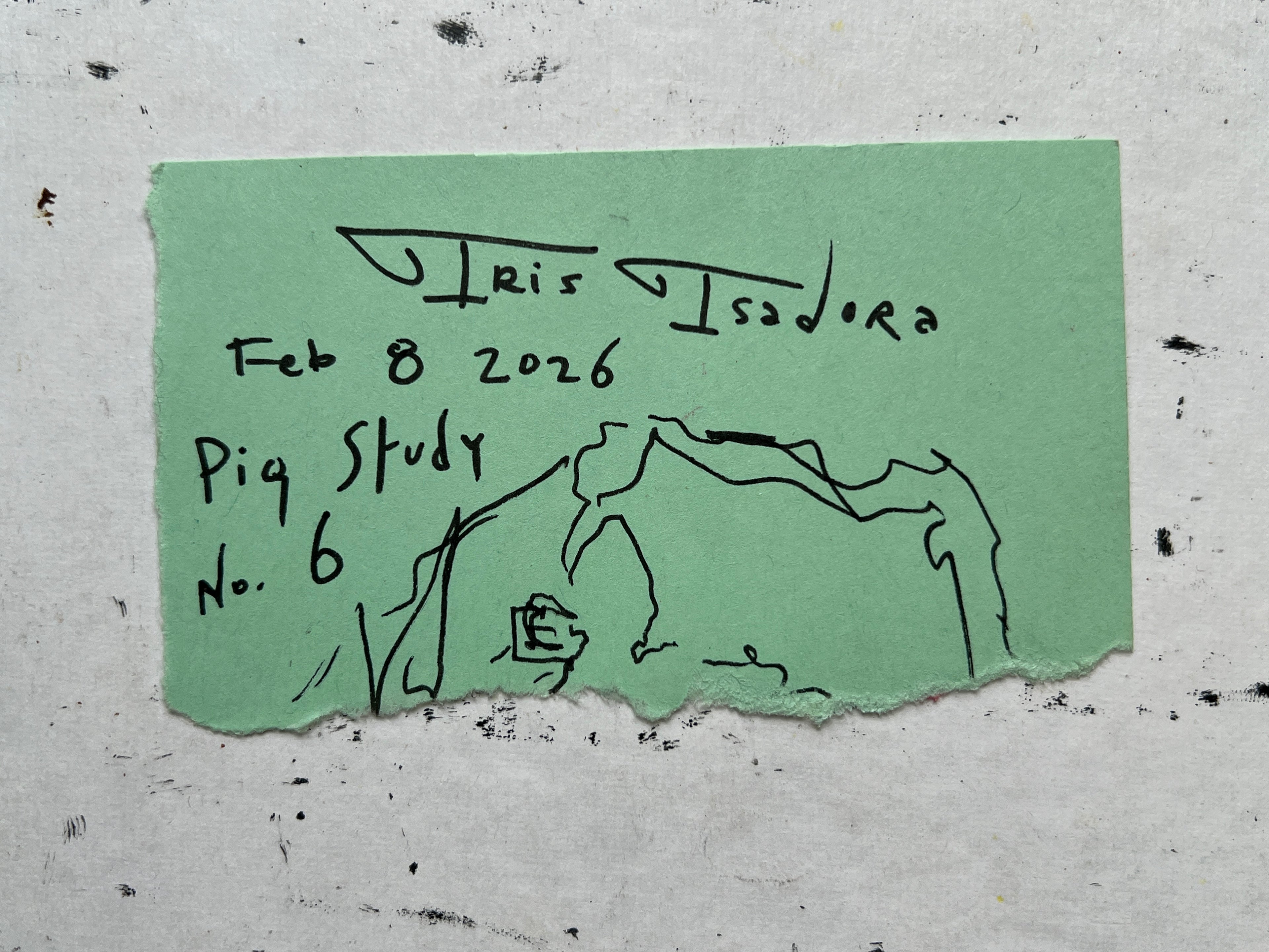 Pig Study no. 6