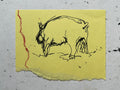 Pig Study no. 8