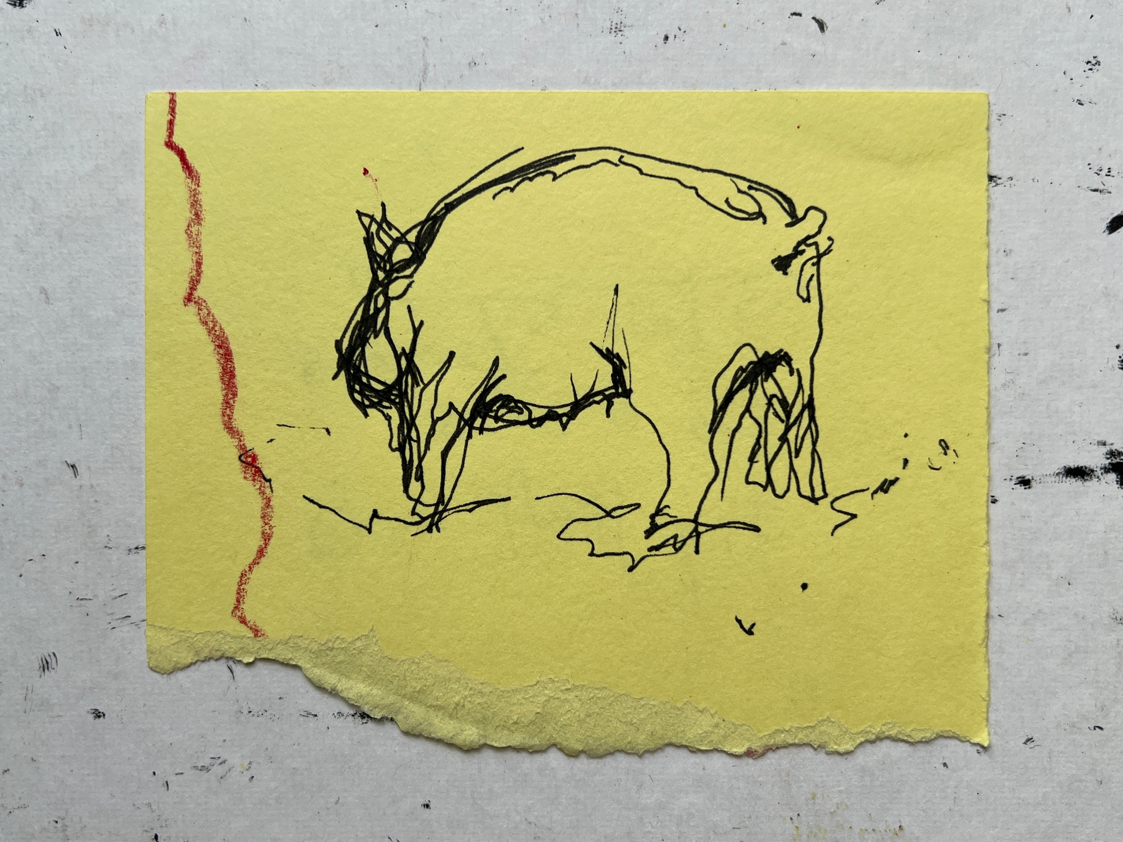 Pig Study no. 8