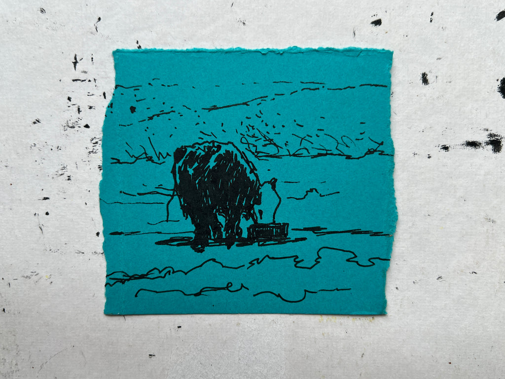 Cow Study no. 34
