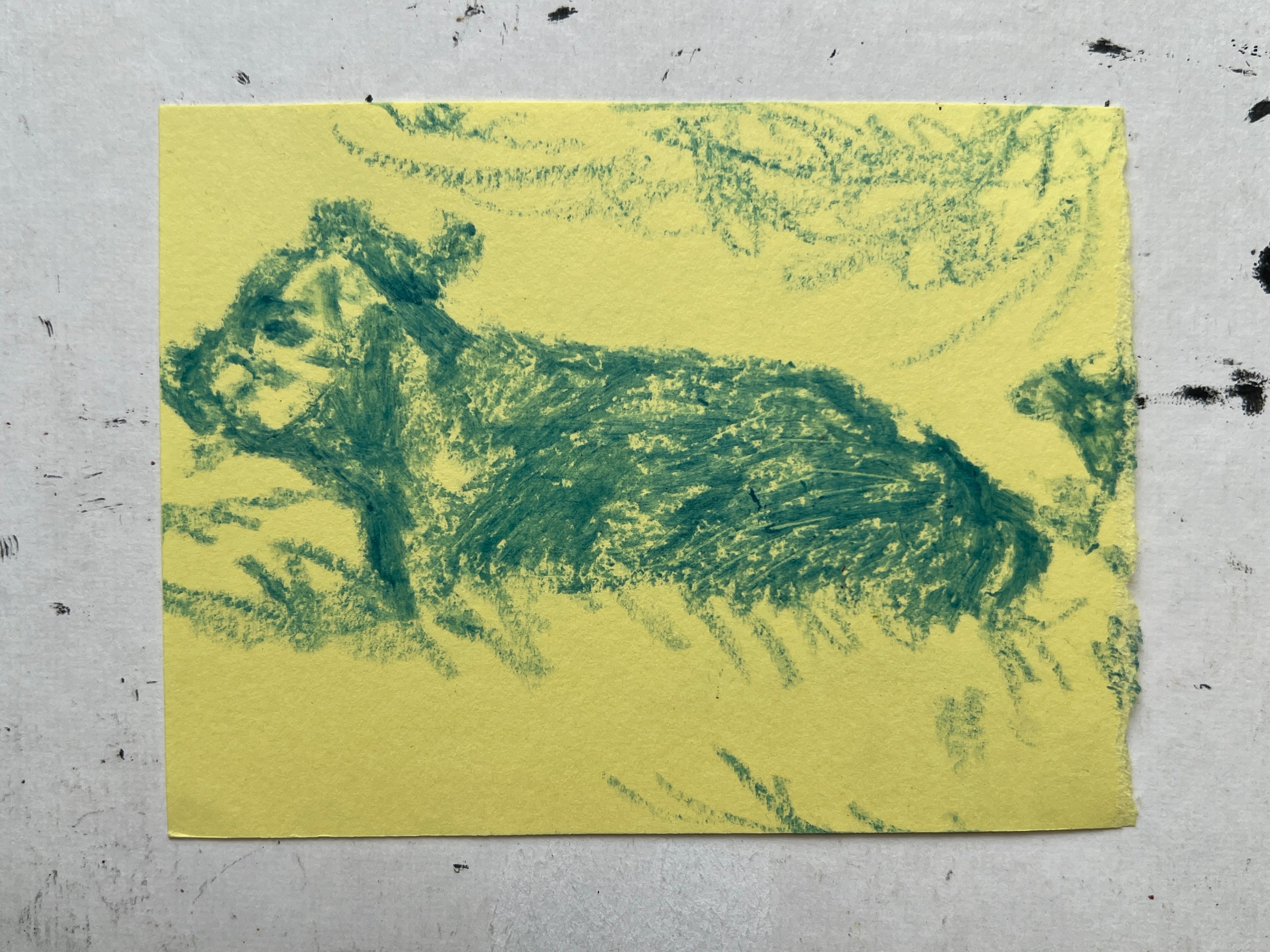 Cow Study no. 69