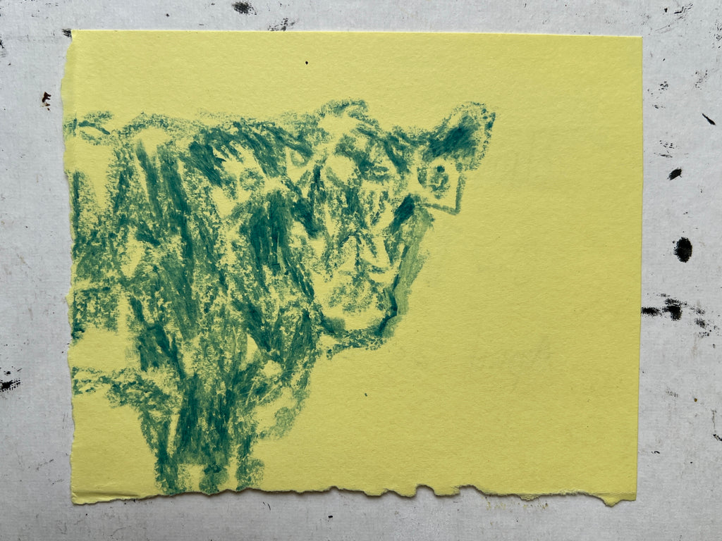 Cow Study no. 57