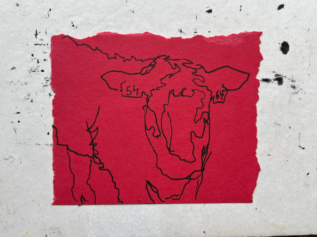 Cow Study no. 17