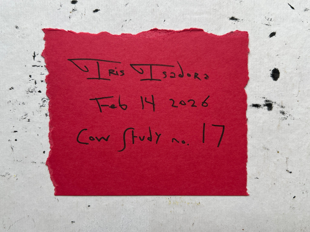 Cow Study no. 17