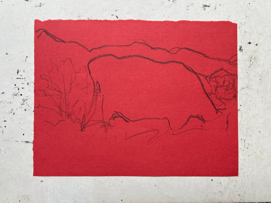 Cow Study no. 61