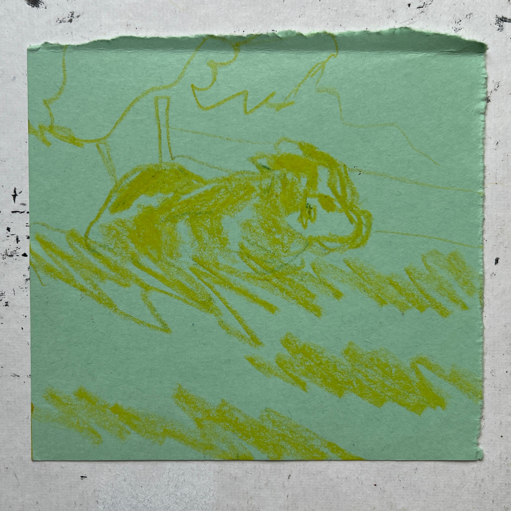 Cow Study no. 68