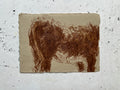 Cow Study no. 36
