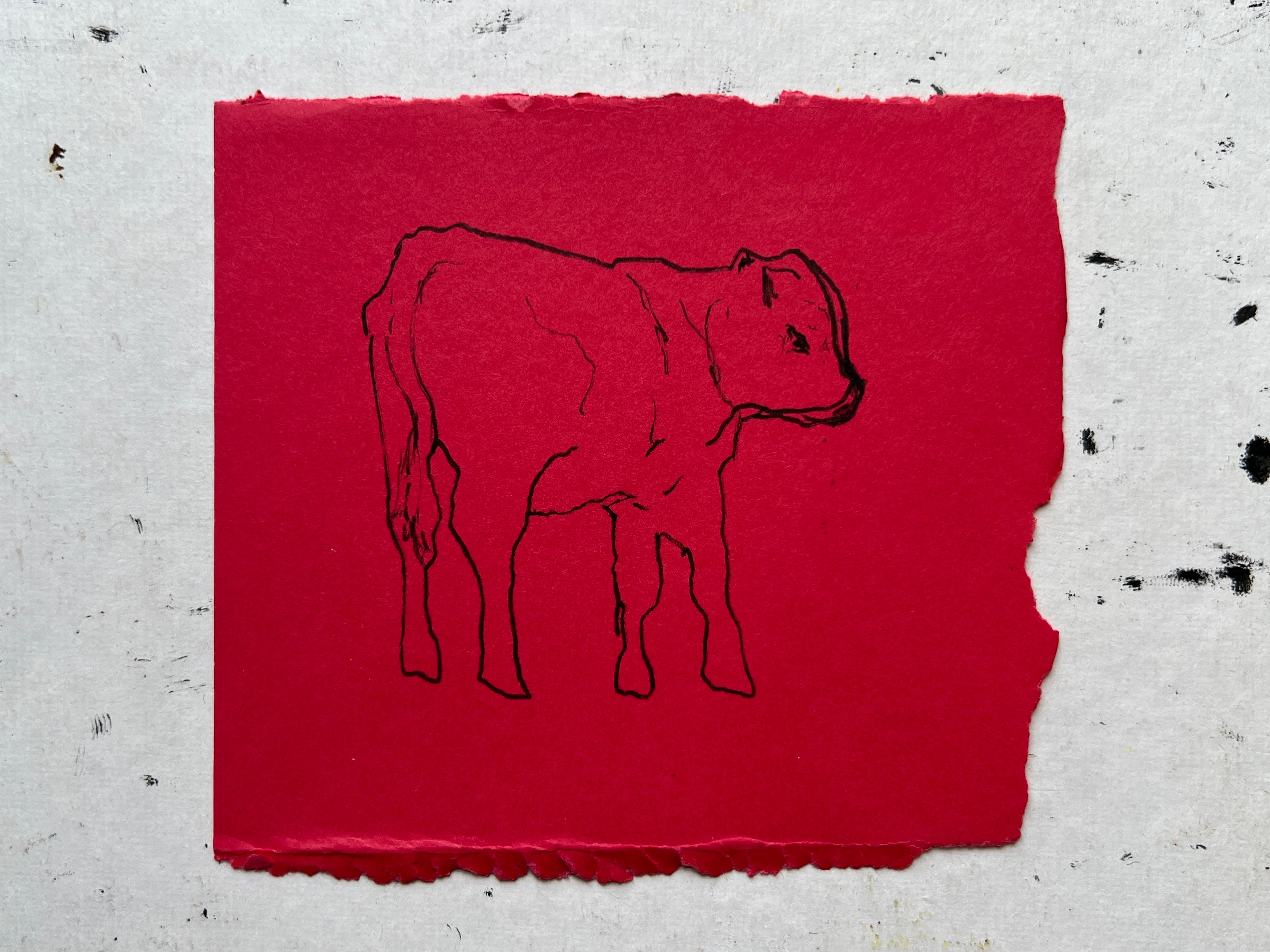 Cow Study no. 27