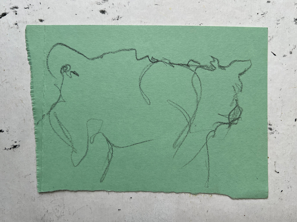 Cow Study no. 60