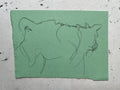 Cow Study no. 60
