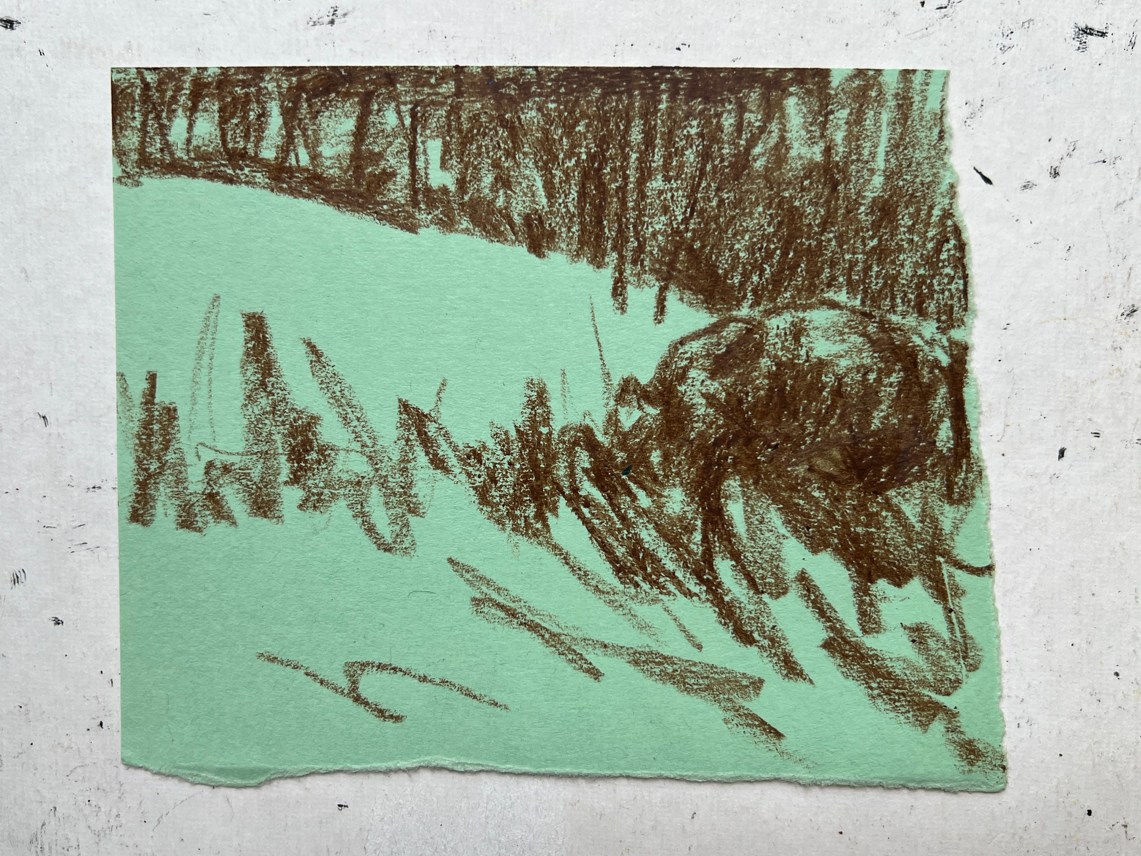 Cow Study no. 64