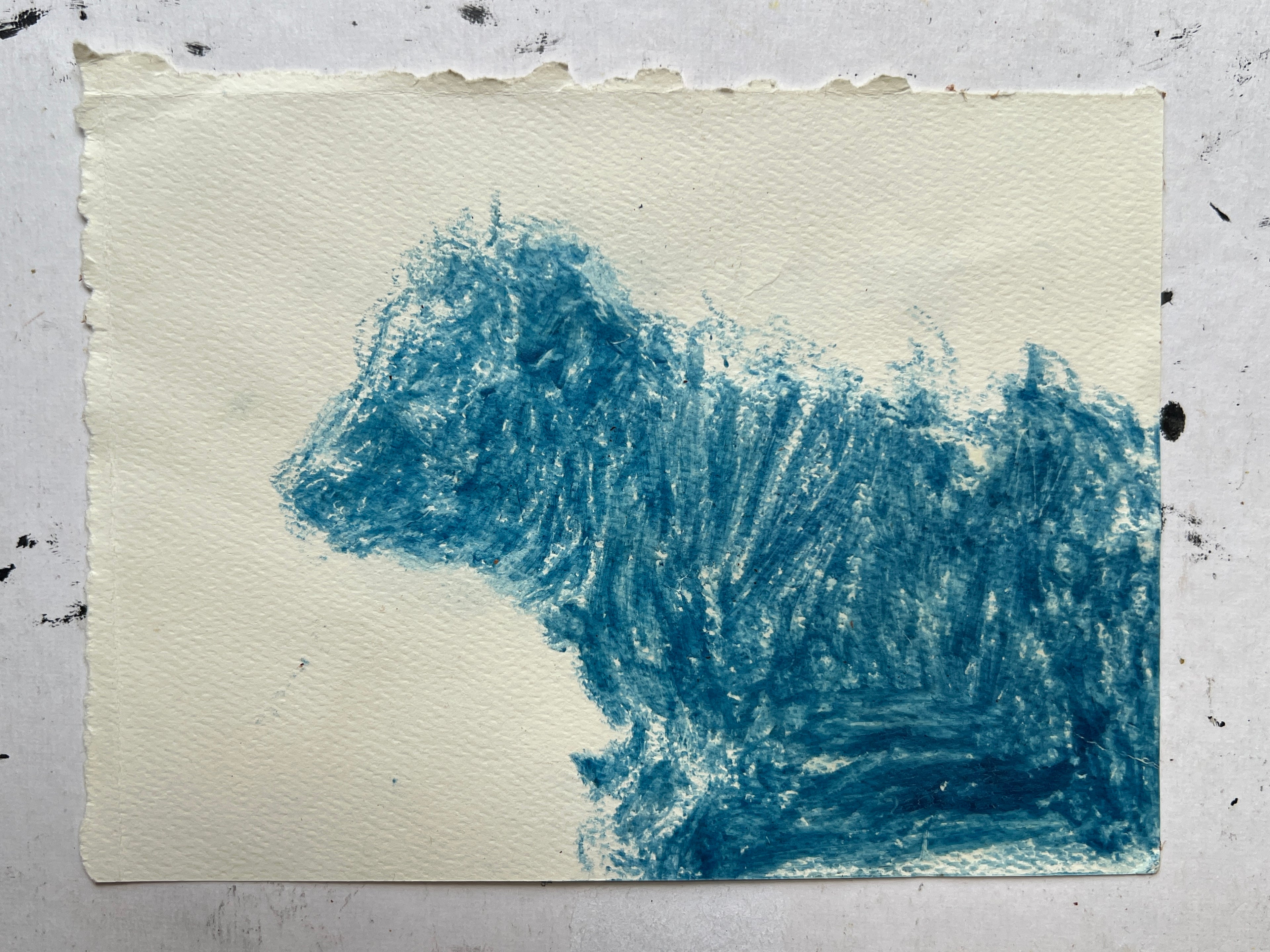 Cow Study no. 38