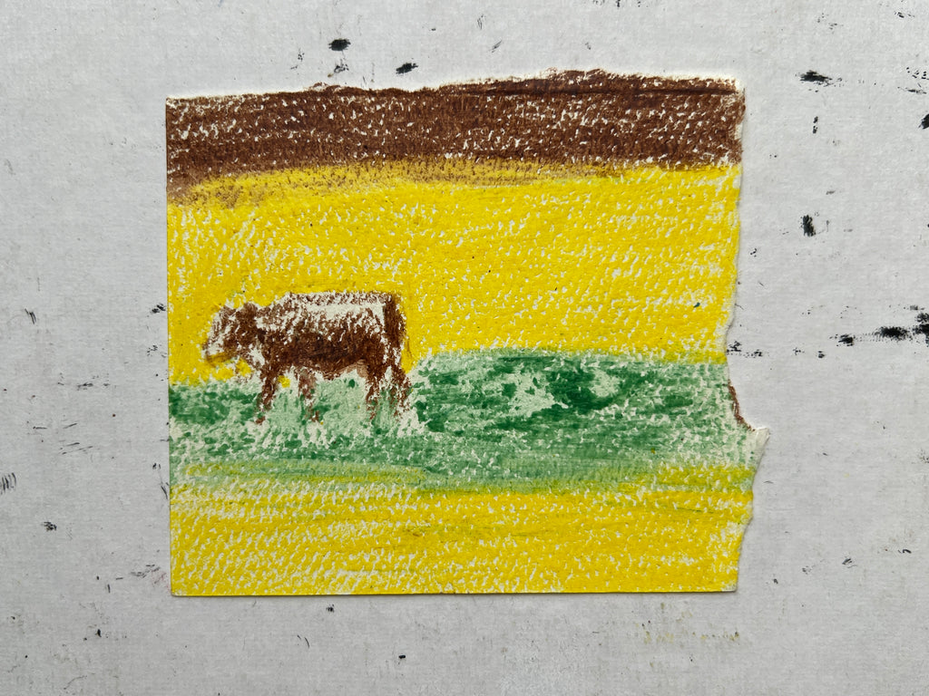 Cow Study no. 52