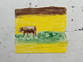 Cow Study no. 52