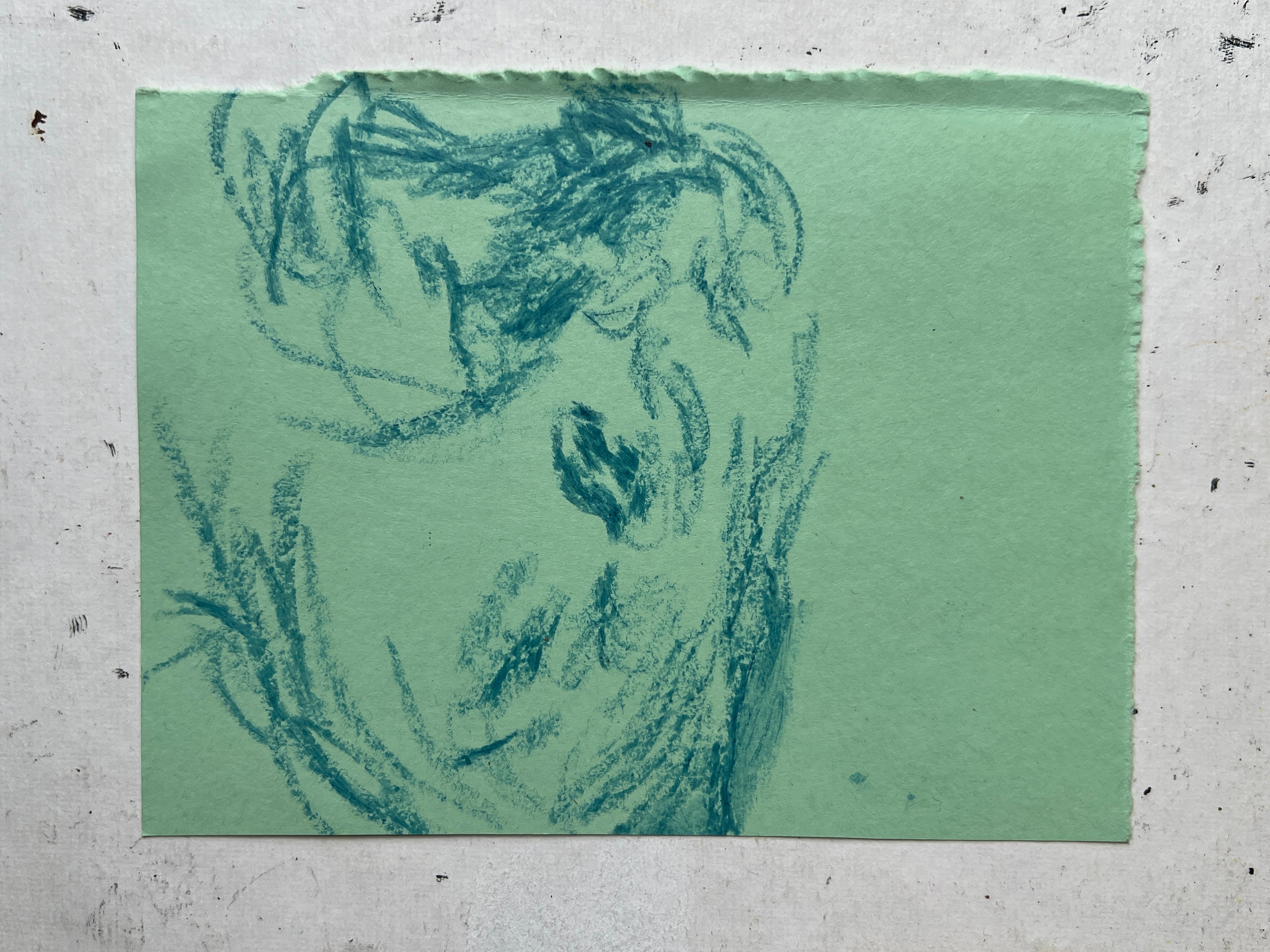 Cow Study no. 56