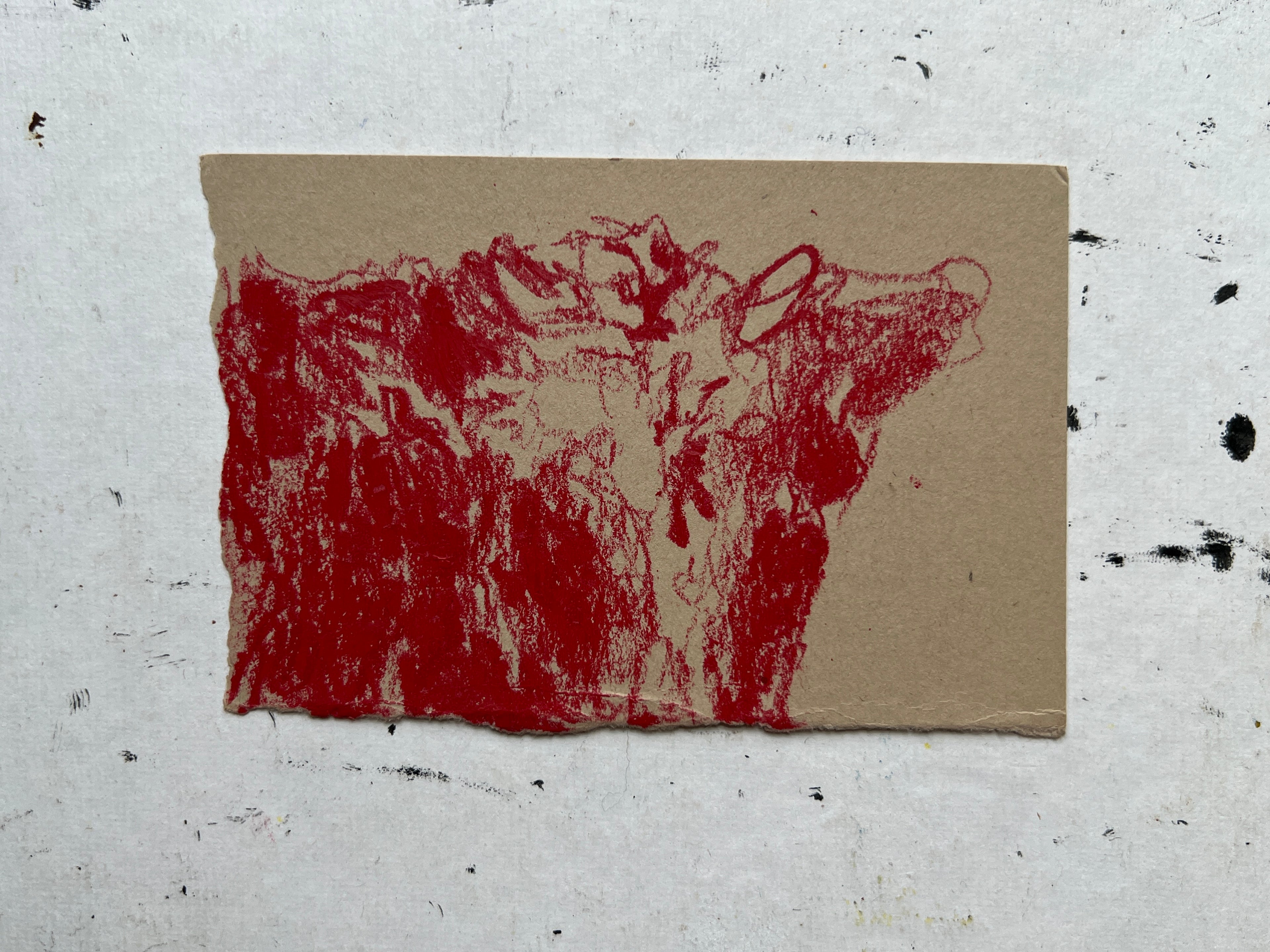 Cow Study no. 11