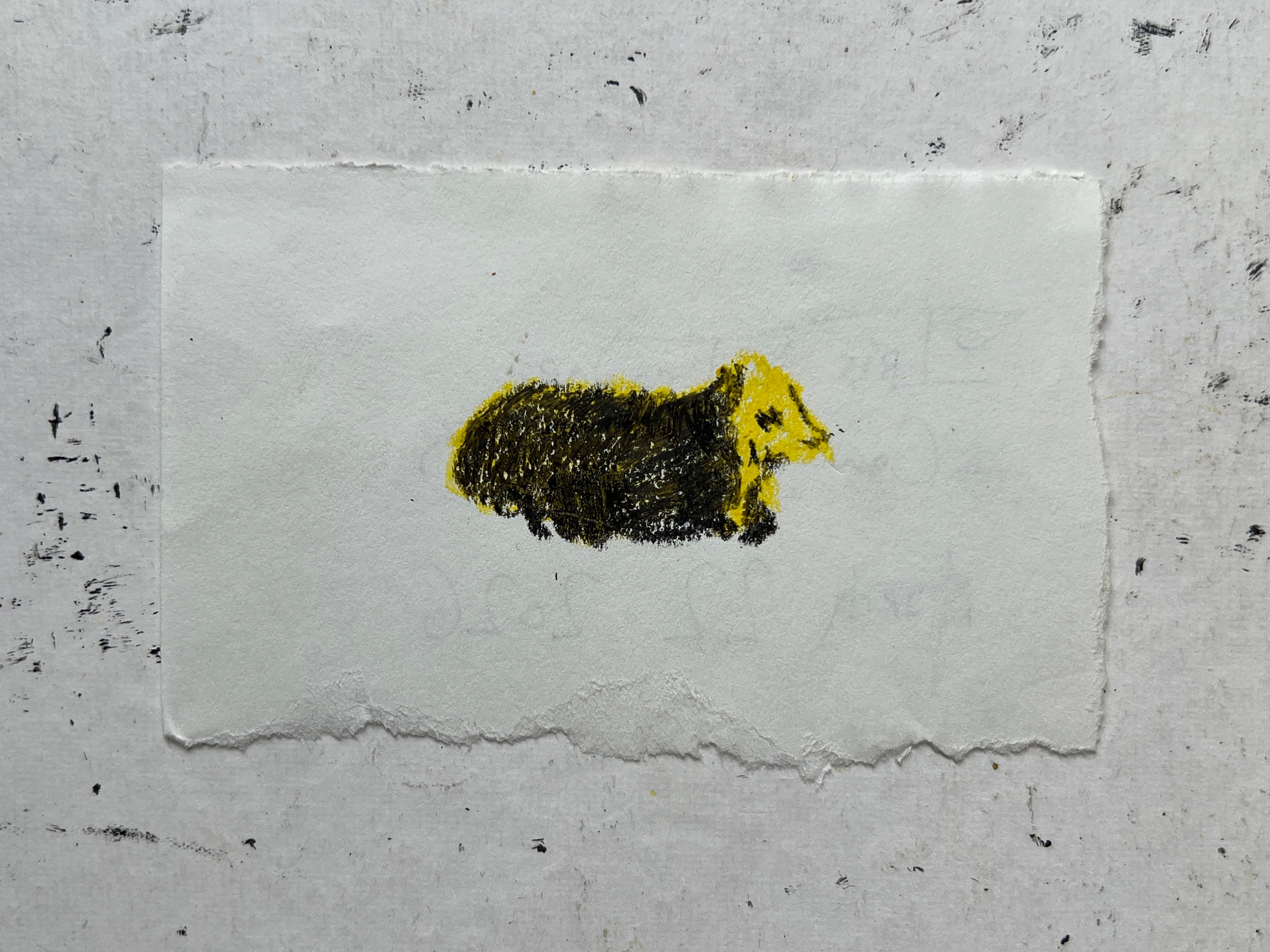 Cow Study no. 43