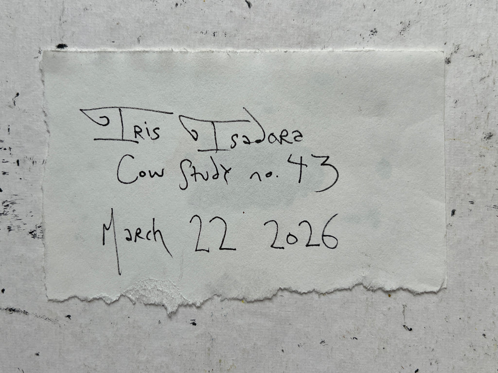 Cow Study no. 43