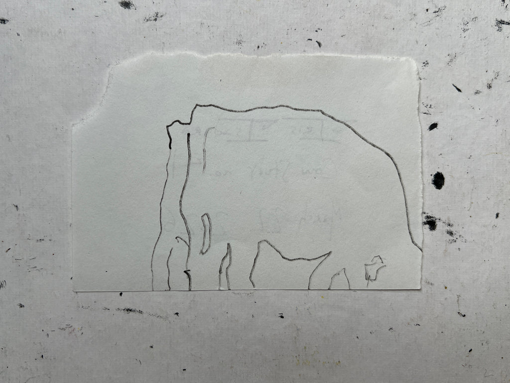 Cow Study no. 41
