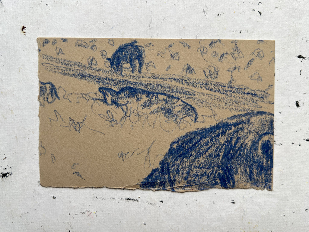Pig Study no. 4