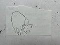 Cow Study no. 42