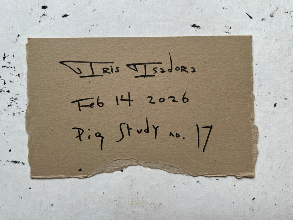 Pig Study no. 17