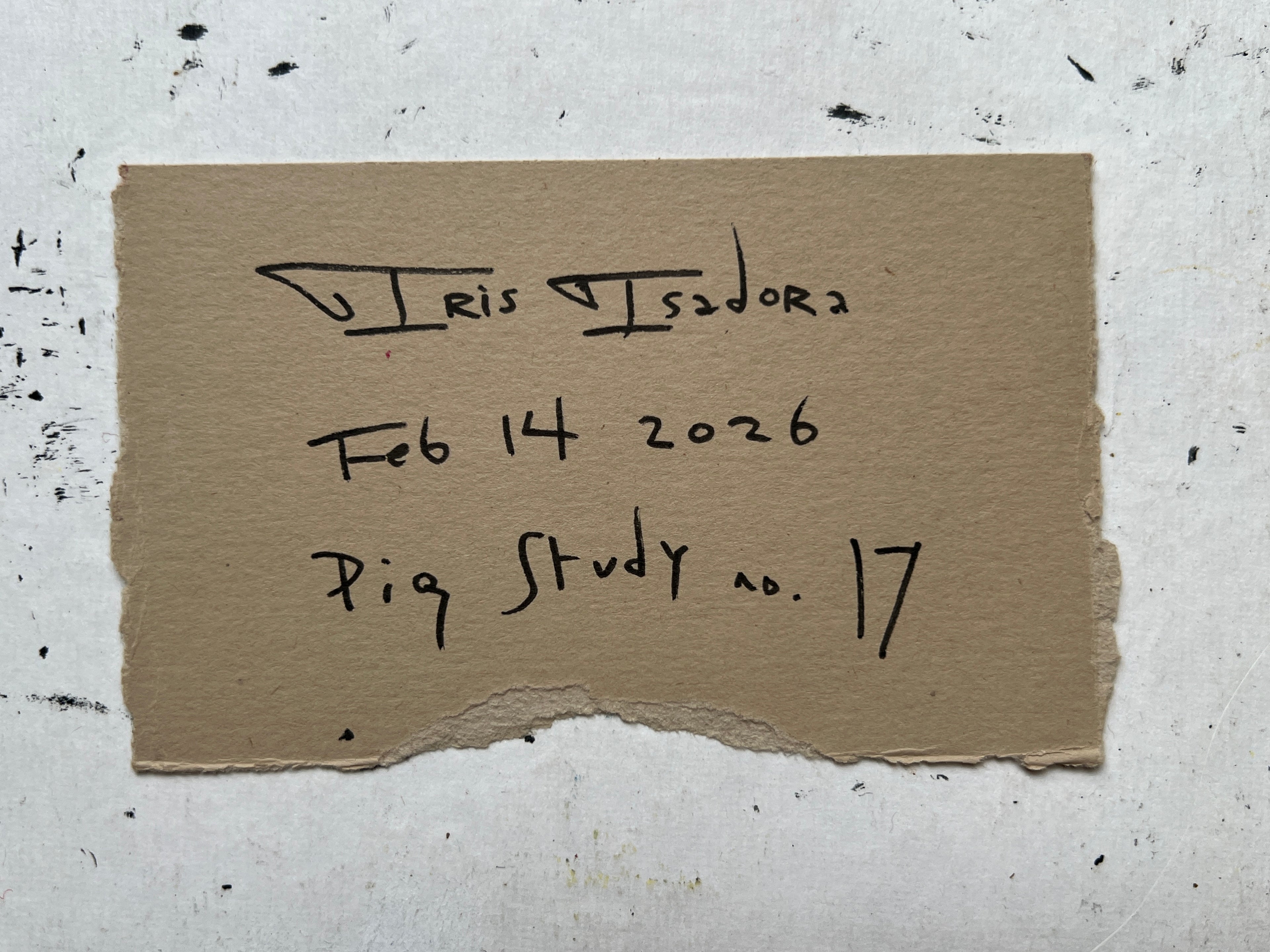Pig Study no. 17