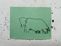 Pig Study no. 15
