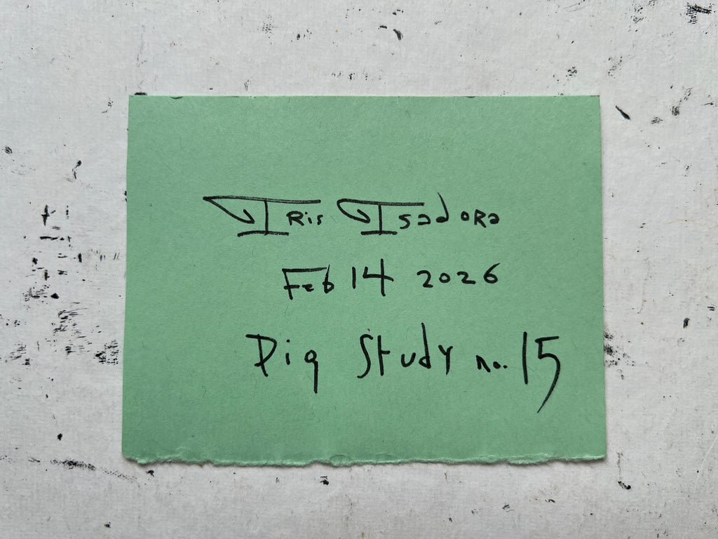 Pig Study no. 15