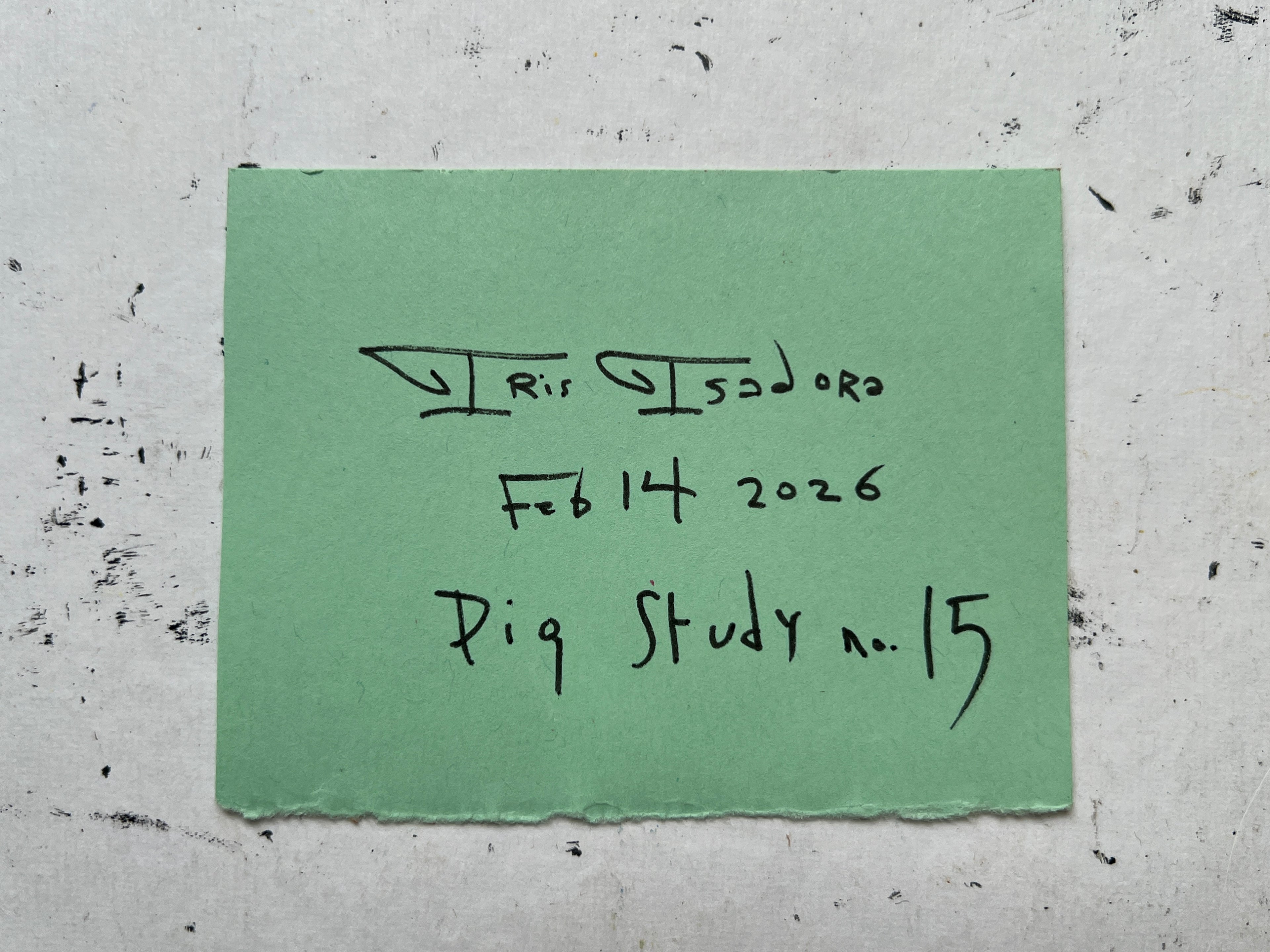 Pig Study no. 15