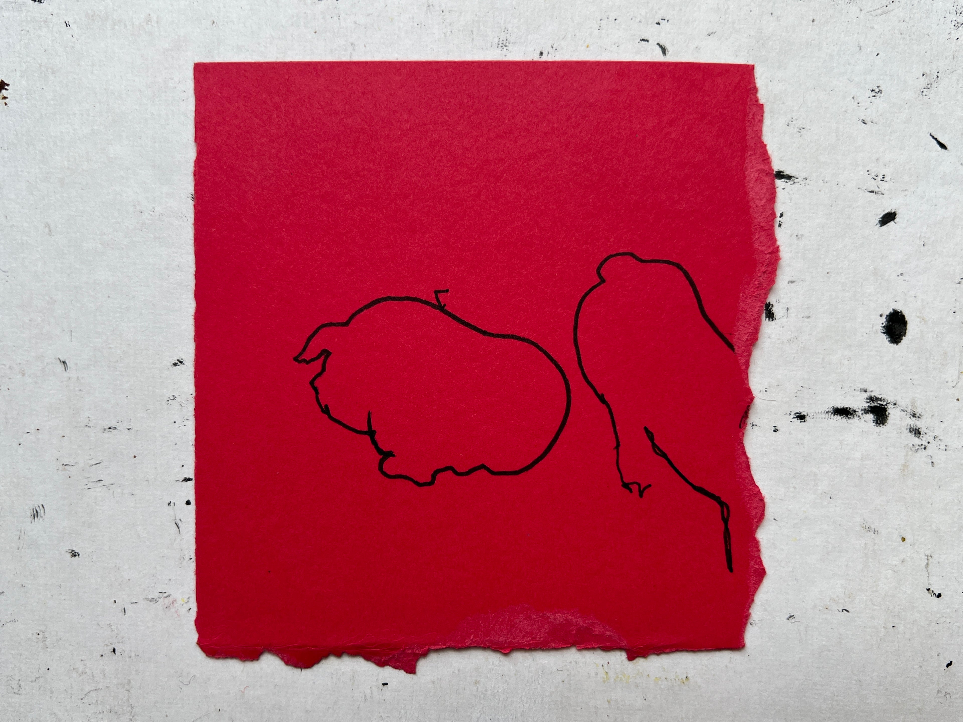 Pig Study no. 10