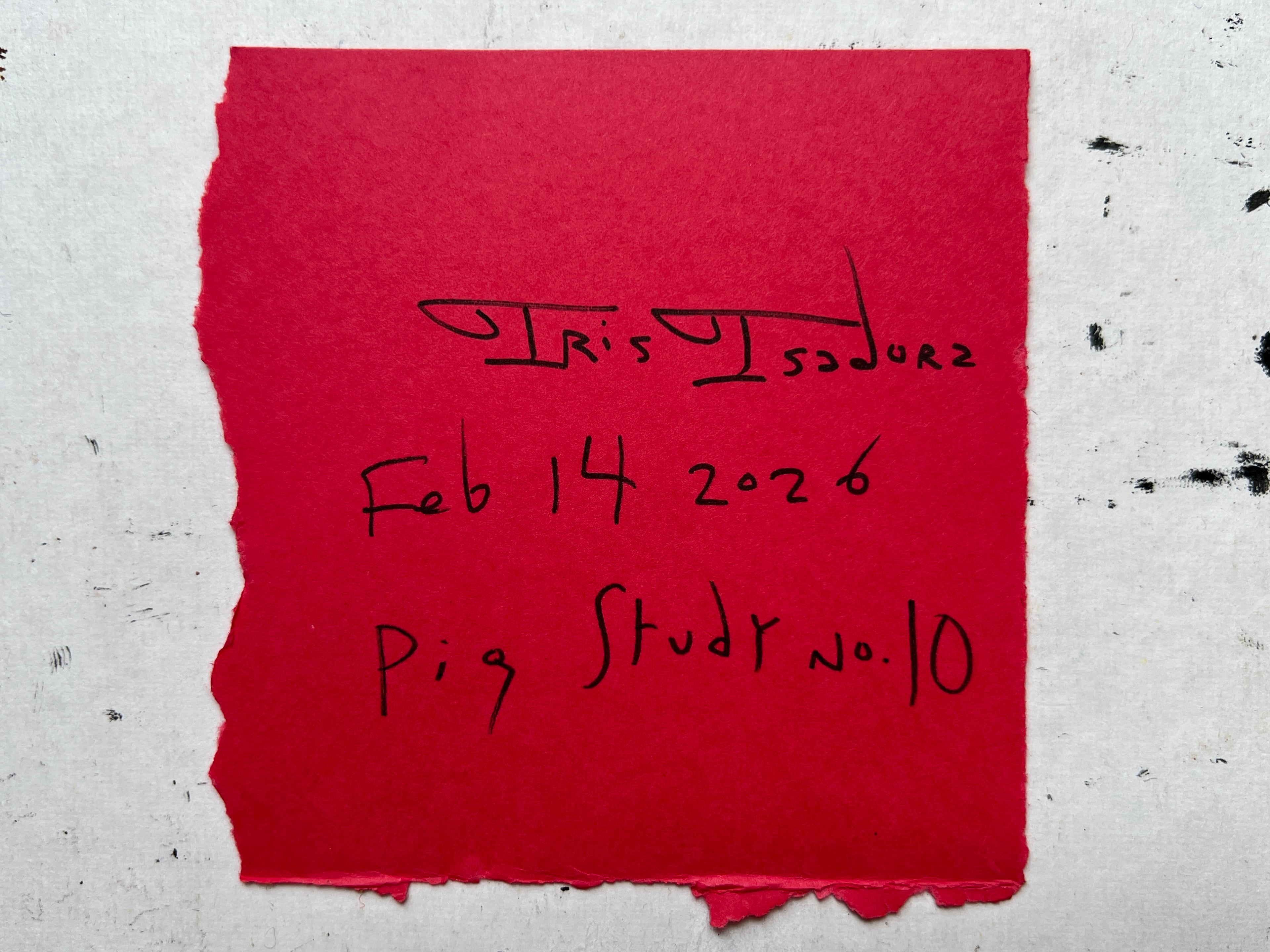 Pig Study no. 10