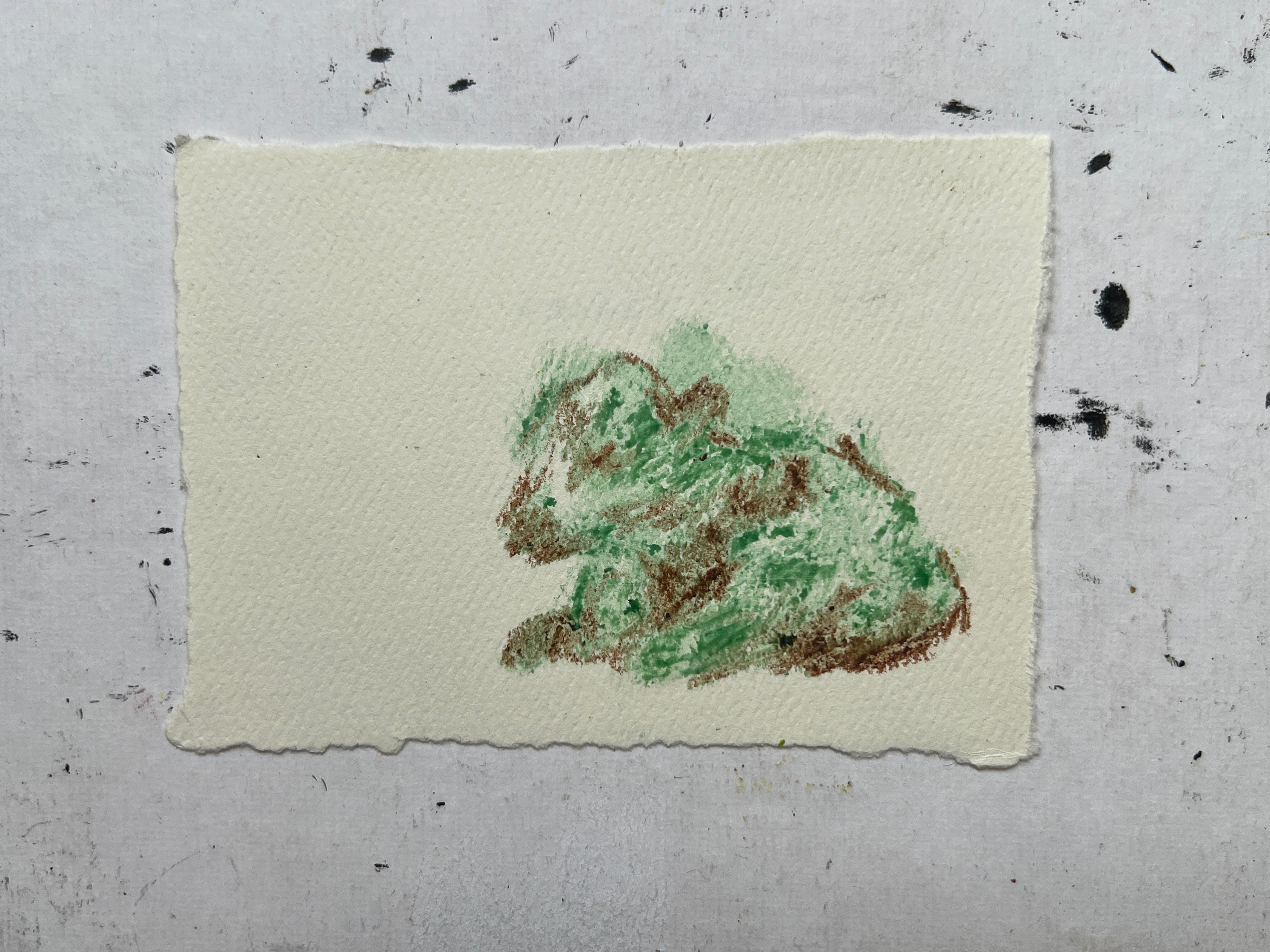 Cow Study no. 51