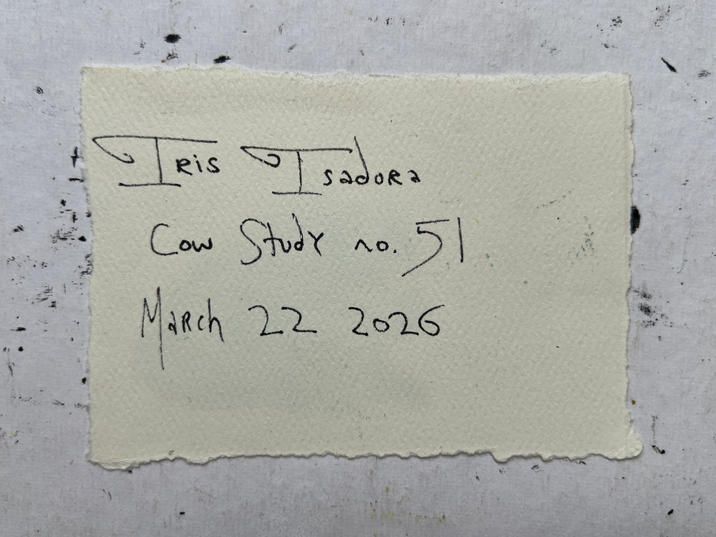 Cow Study no. 51