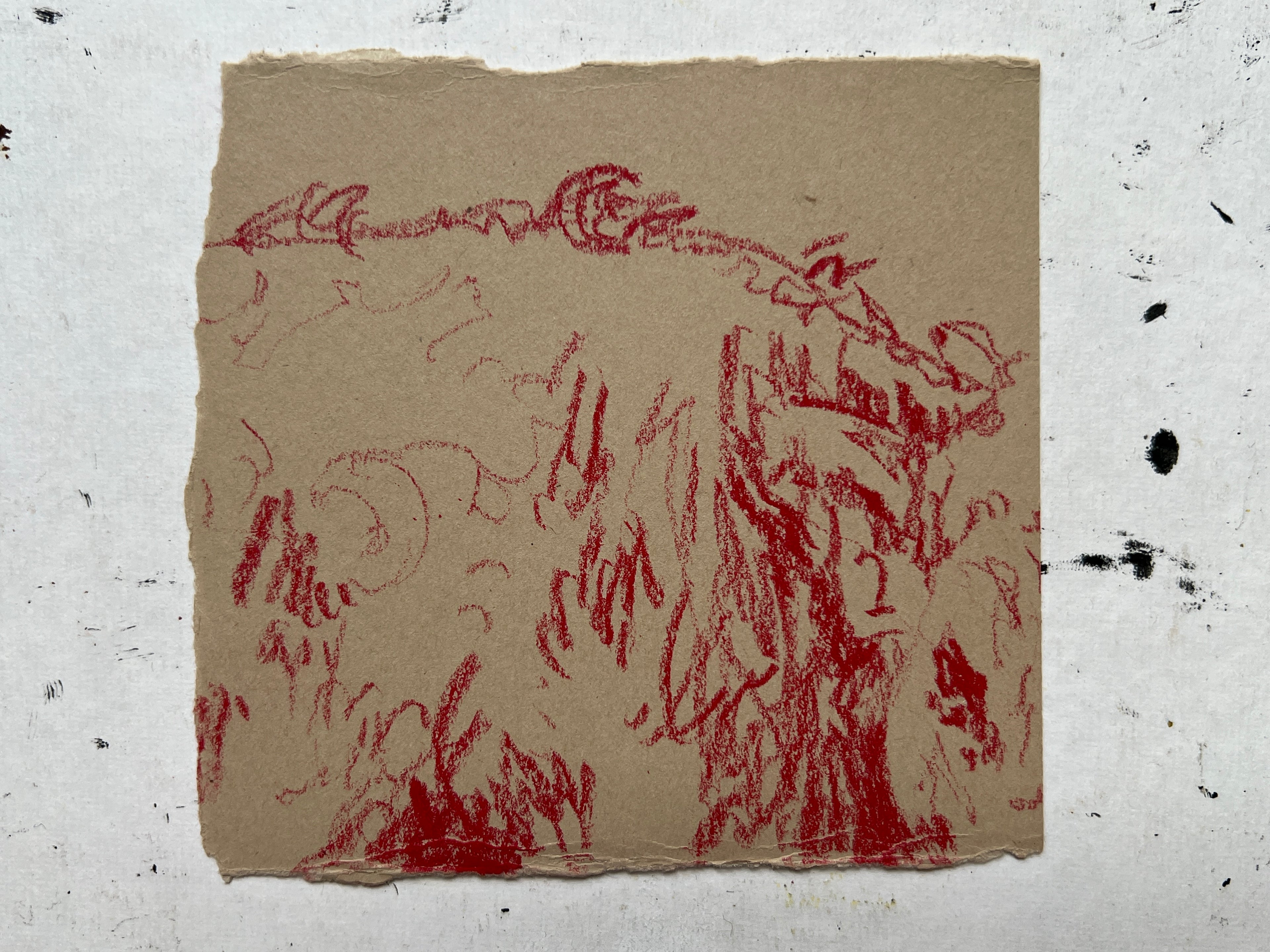 Cow Study no. 12