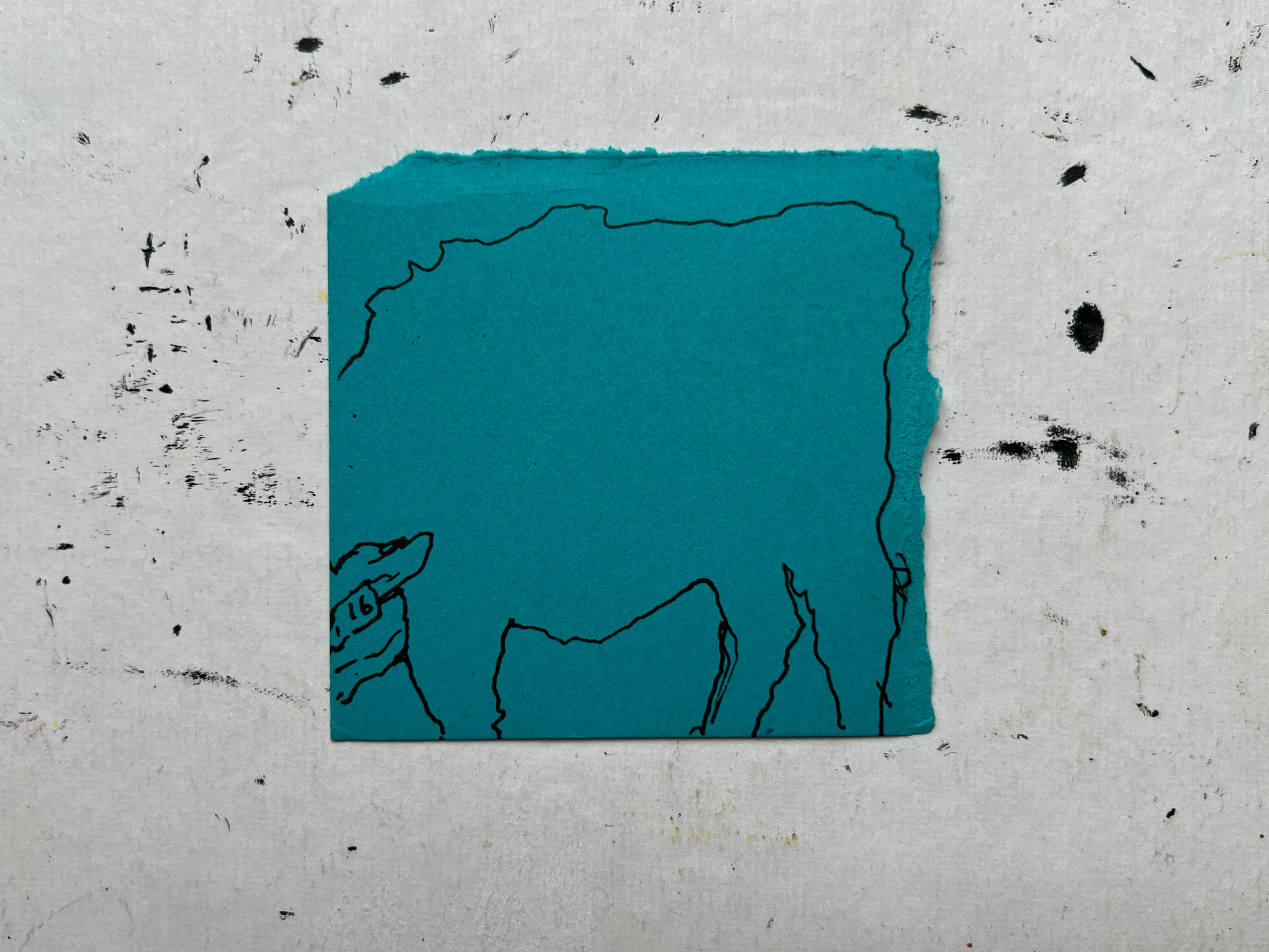 Cow Study no. 35