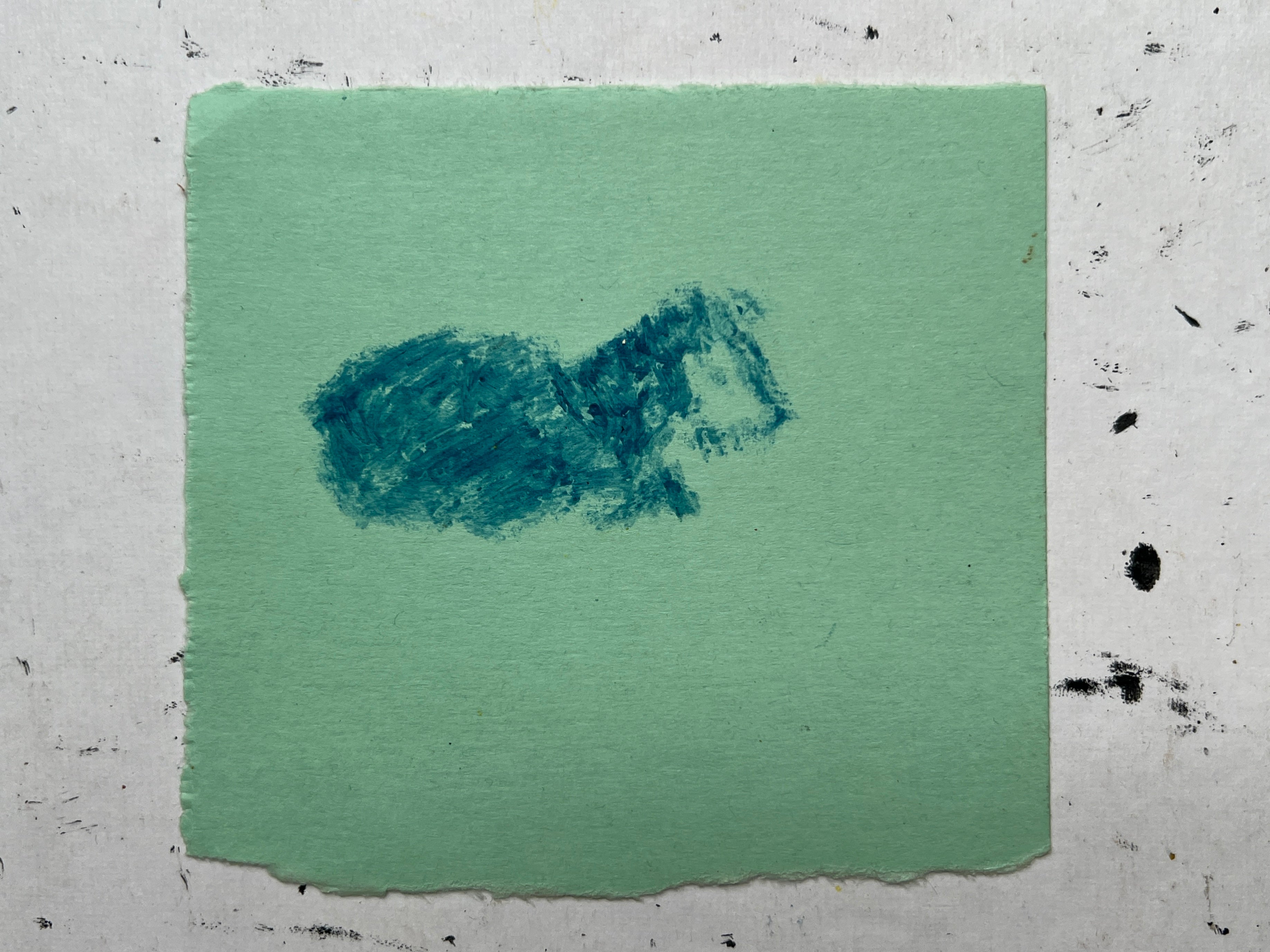 Cow Study no. 44