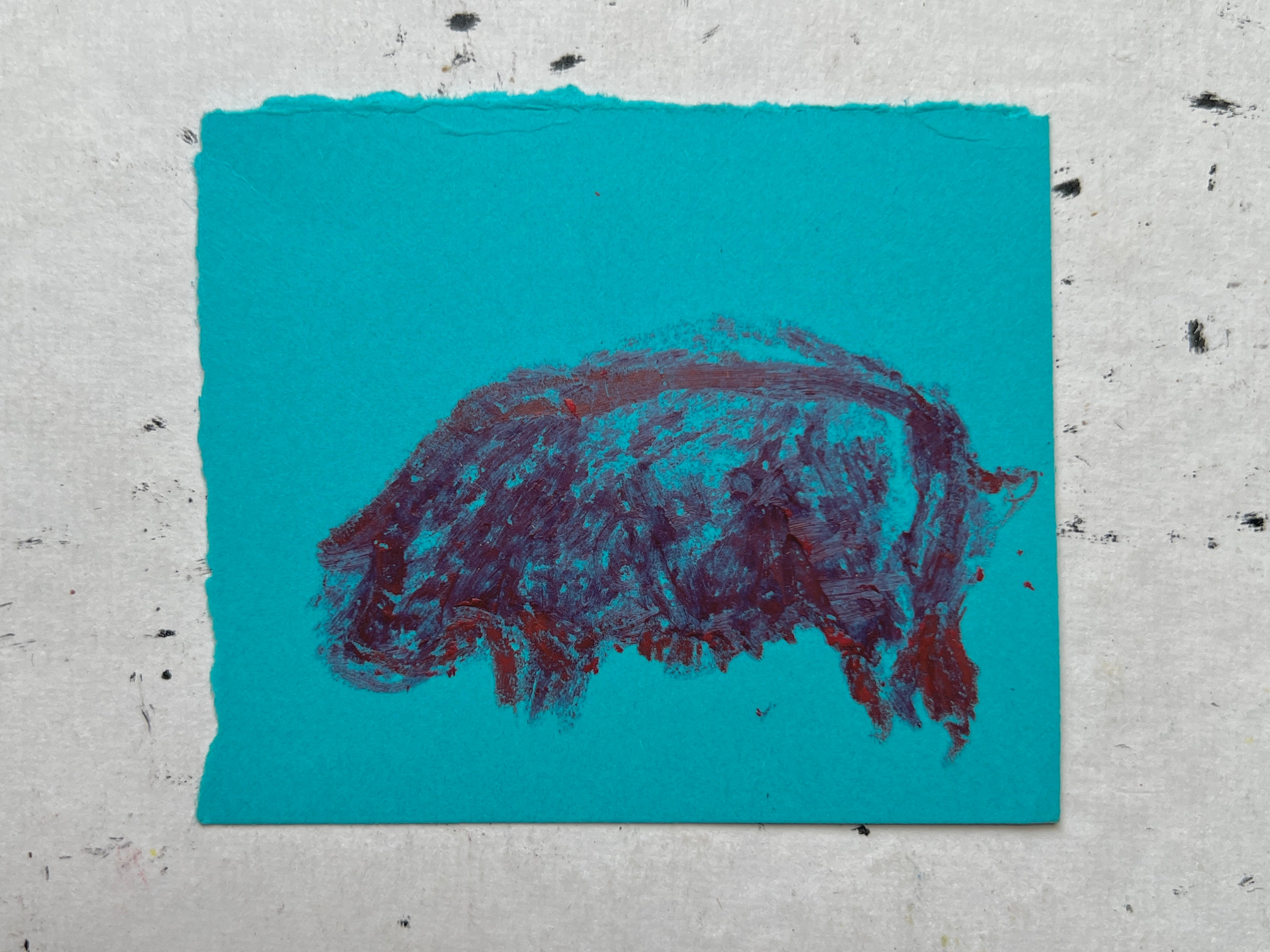 Pig Study no. 14