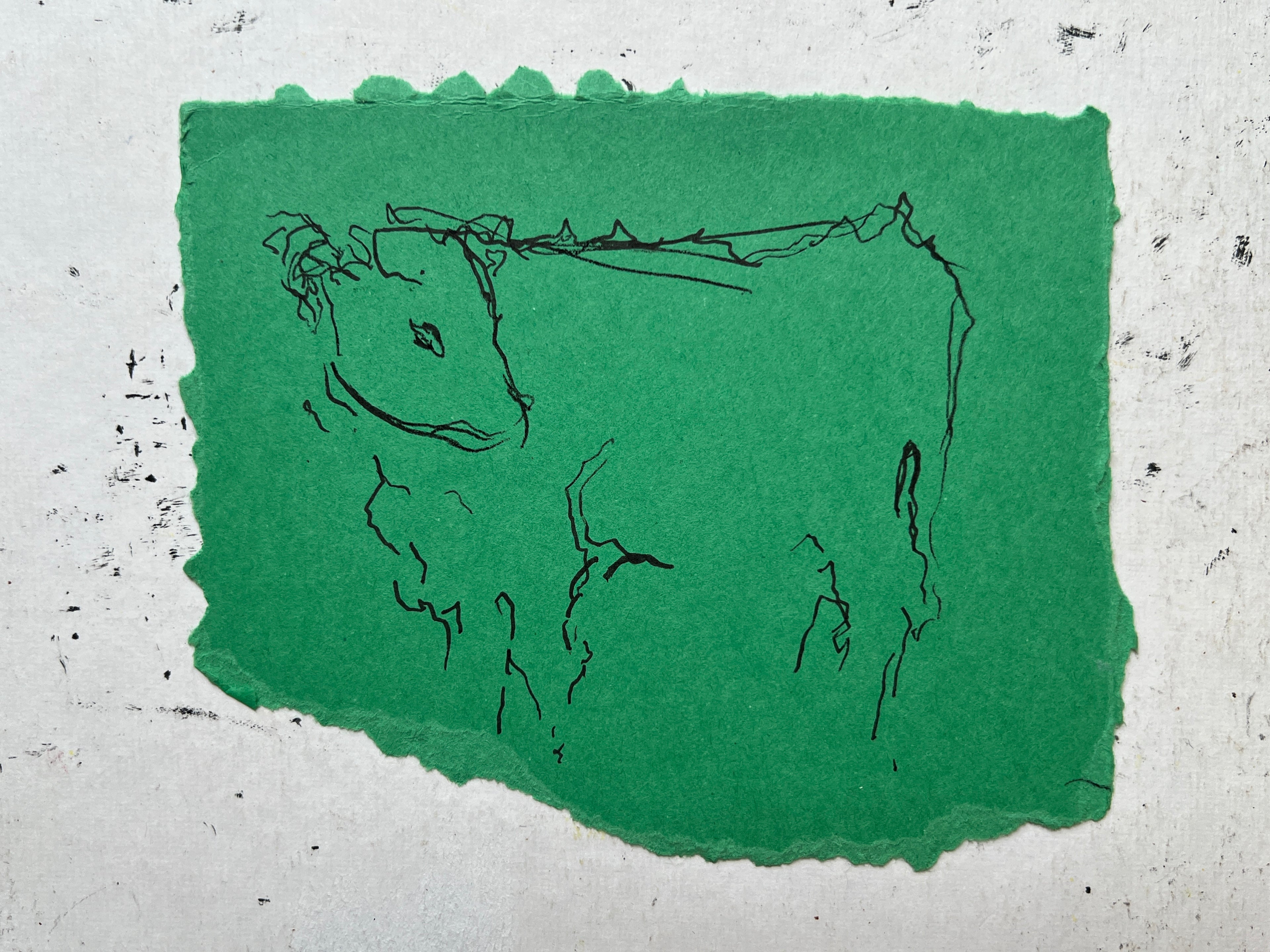 Cow Study no. 5