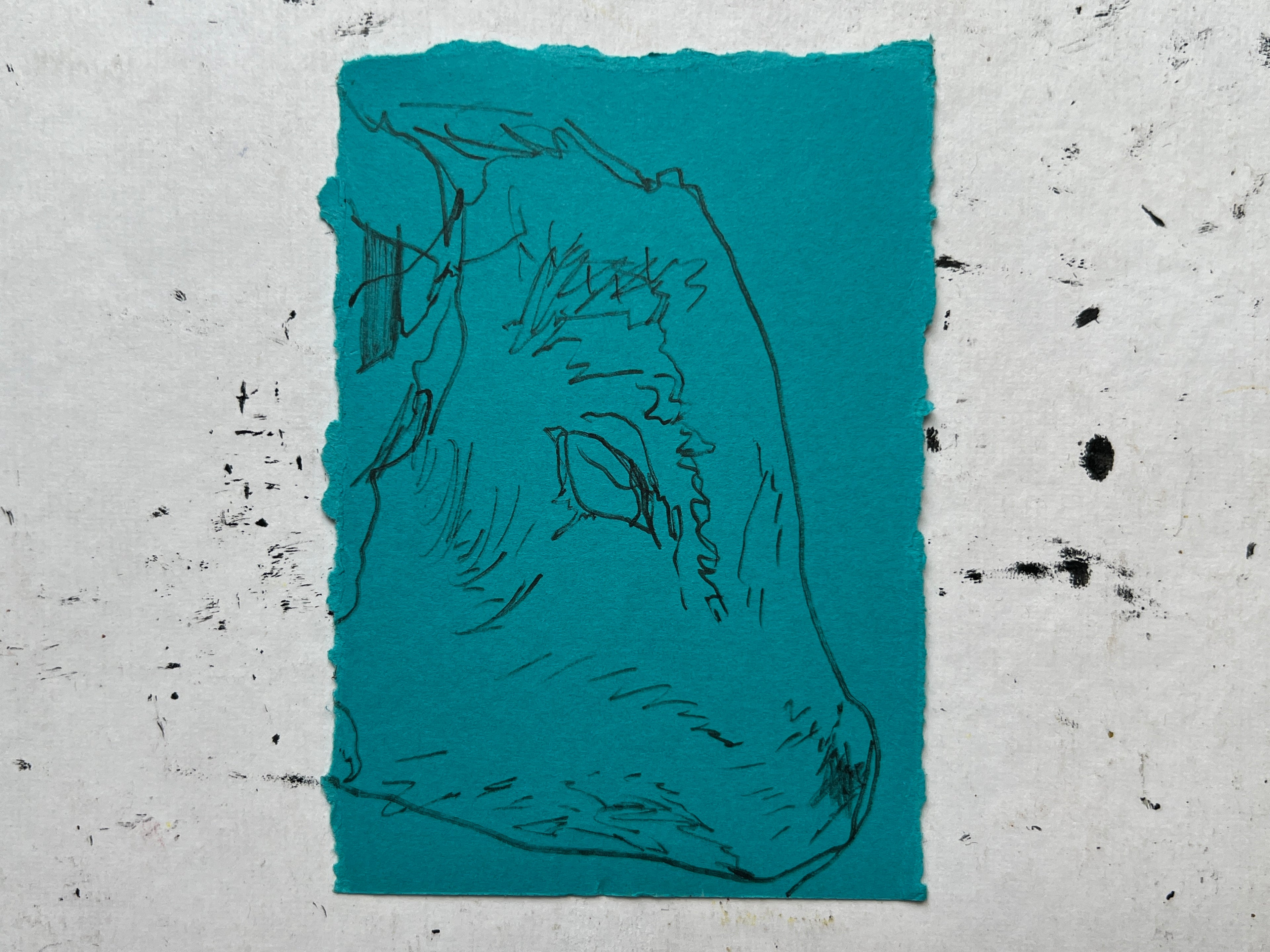 Cow Study no. 28