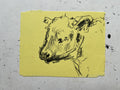 Cow Study no. 6