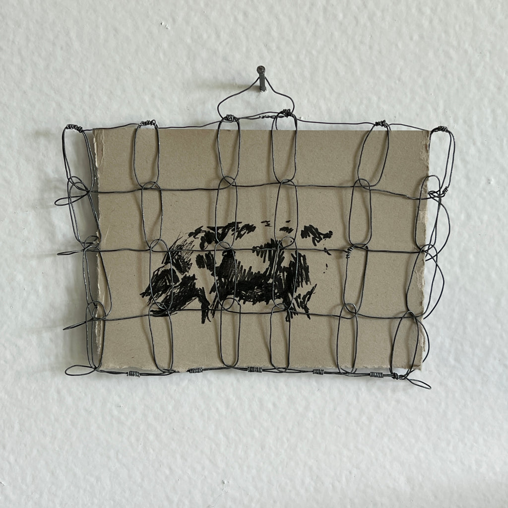 Wire Frame no. 4 for Pig Study no. 16
