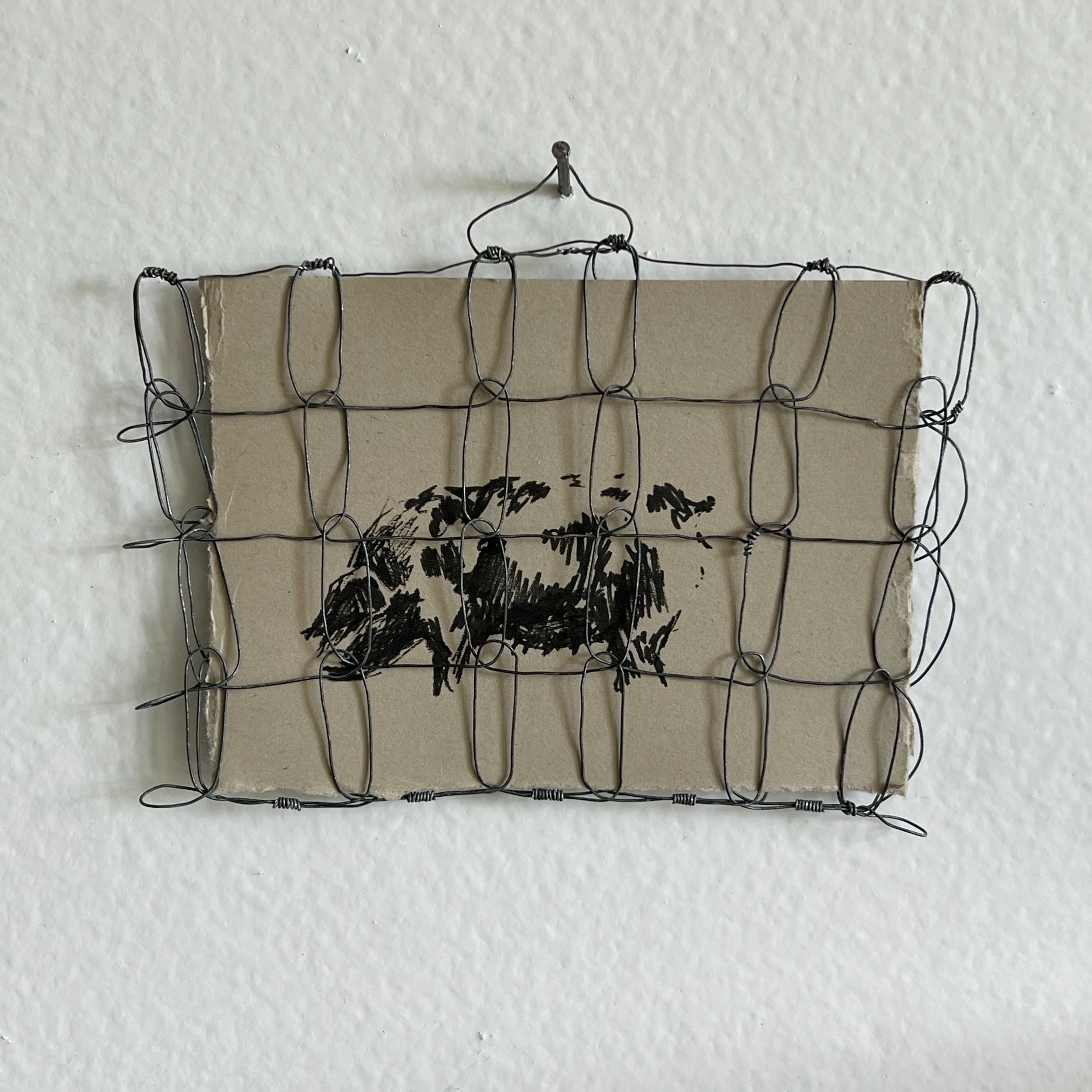 Wire Frame no. 4 for Pig Study no. 16